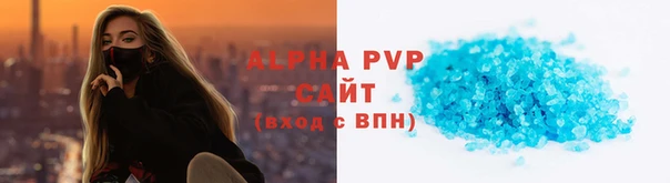 СК Волоколамск